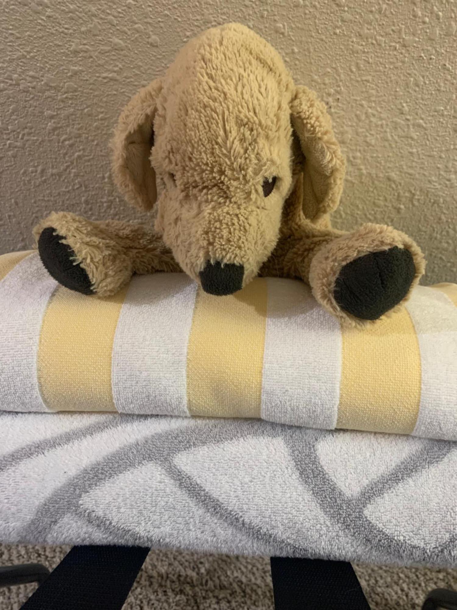 Mountain Meadows Inn & Chalet Suites アッシュフォード エクステリア 写真